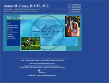 Tablet Screenshot of equinehorsevet.com